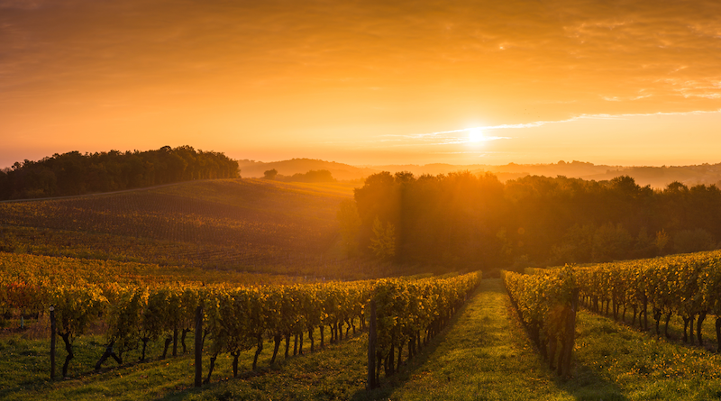 Two Vintners