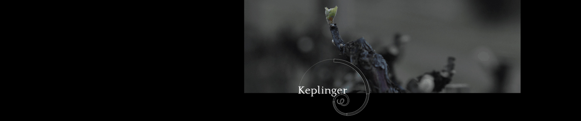 Keplinger