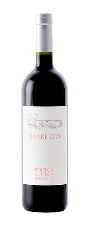 Bodega Noemia J. Alberto 2021