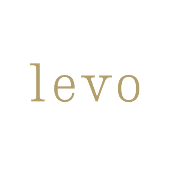 Levo Logo Gold