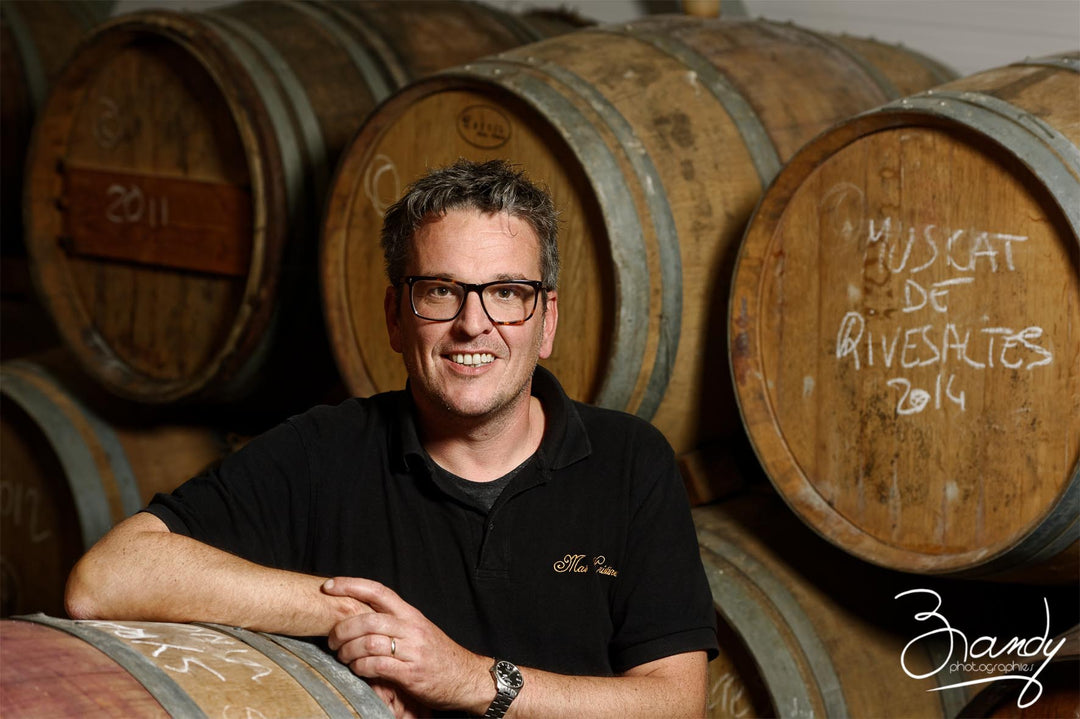 Q&A with Andy Cook, winemaker at Consolation, Roussillon