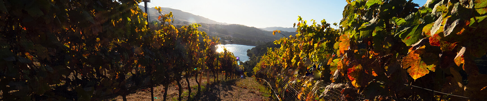 Alban Vineyards