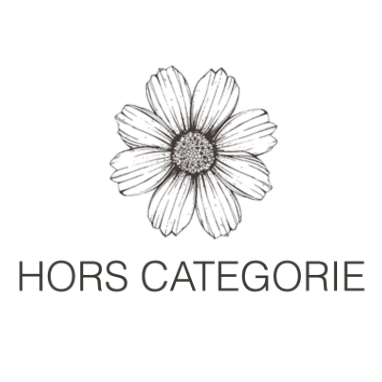 Hors Categorie Logo