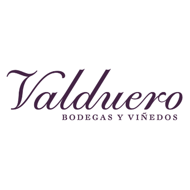 Valduero Logo